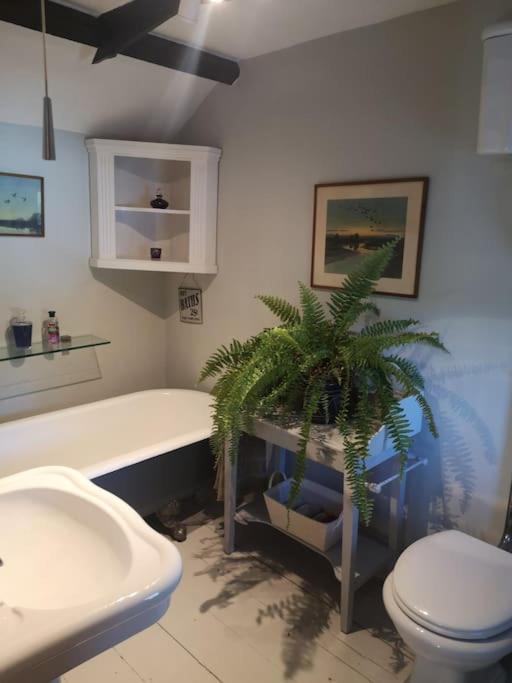 Heath Cottage Lower Southrepps North Norfolk Cromer Ngoại thất bức ảnh